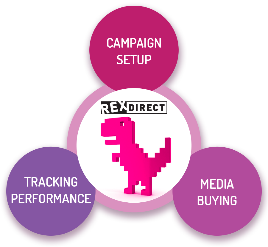 Campaign Setup, Media Buying, Tracking Performance